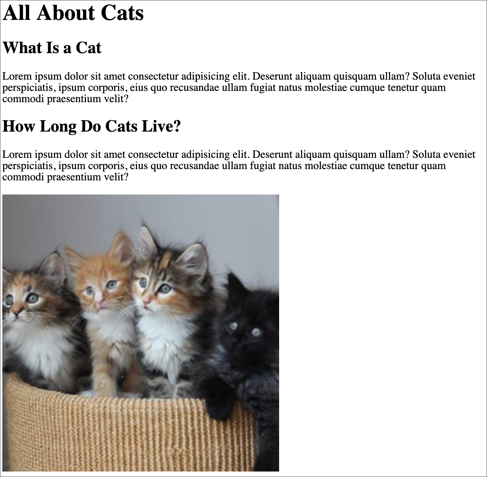 All About Cats sample webpage
