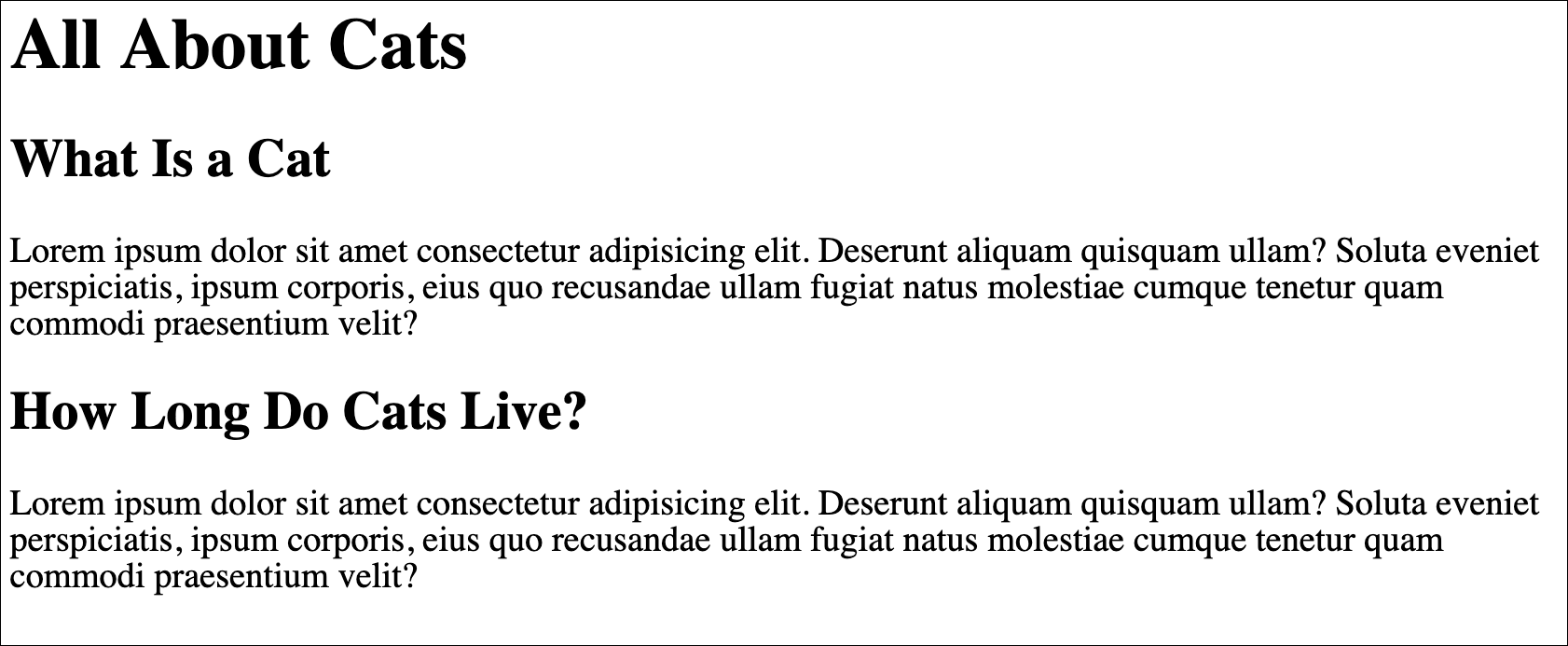 The cat document written in HTML instead of a word processor
