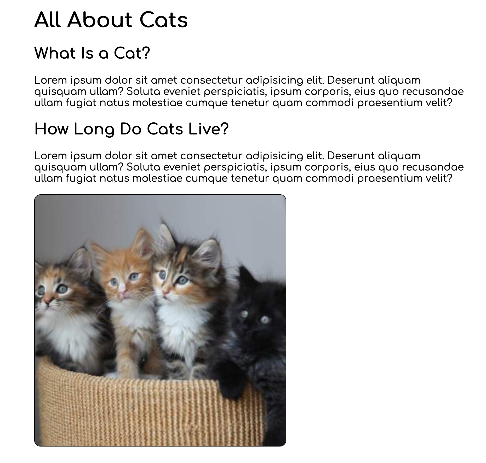 CSS-styled HTML page