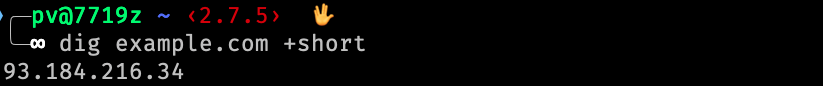 The output of the dig command