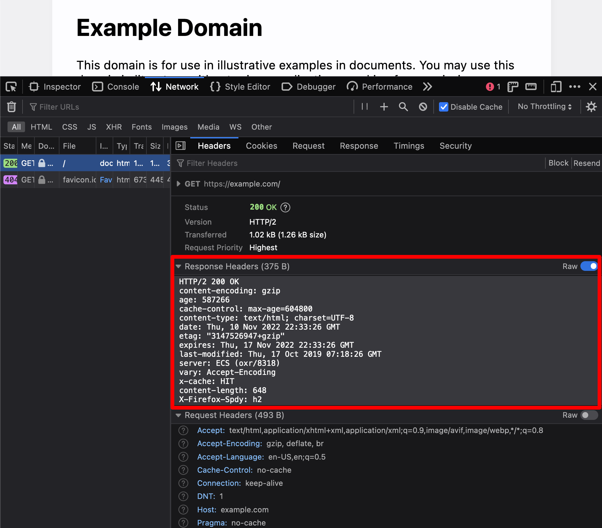 Firefox network tab HTTP headers view