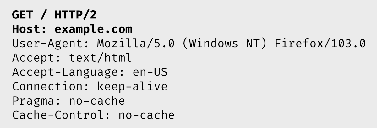 Example HTTP request headers